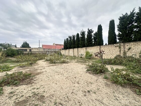Torpaq Novxanı q., Bakı