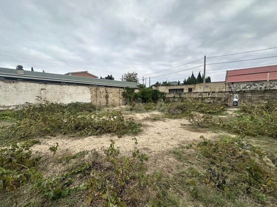 Torpaq Novxanı q., Bakı