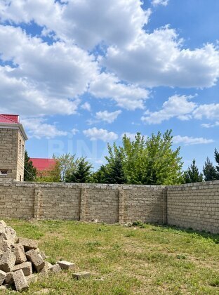 Torpaq Türkan q., Bakı