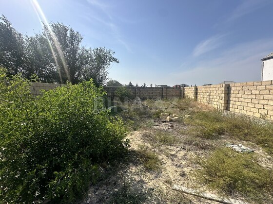 Torpaq Novxanı q., Bakı