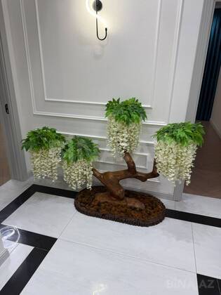4 otaqlı Həyət evi/Bağ evi, Şüvəlan q., Bakı