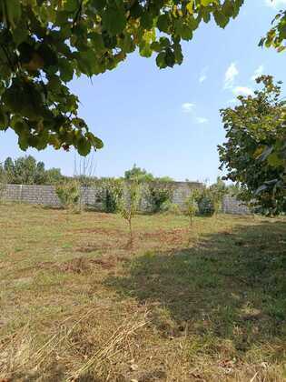 Torpaq Xaçmaz r., Xaçmaz