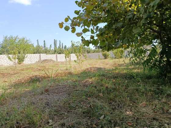 Torpaq Xaçmaz r., Xaçmaz