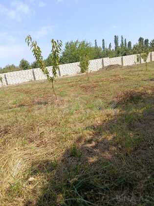 Torpaq Xaçmaz r., Xaçmaz