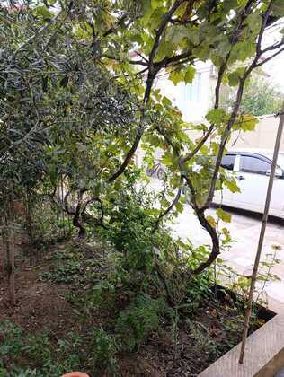 3 otaqlı Həyət evi/Bağ evi, Yeni Ramana q., Bakı