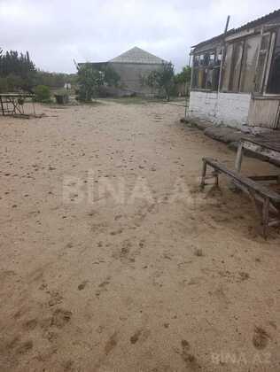 Torpaq Bilgəh q., Bakı