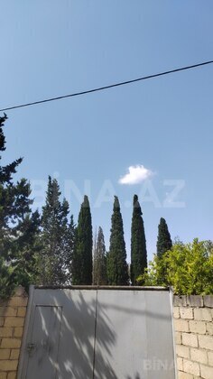 Torpaq Ələt q., Bakı