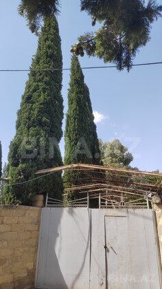 Torpaq Ələt q., Bakı
