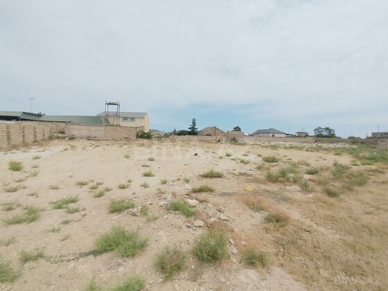 Torpaq Qala q., Bakı