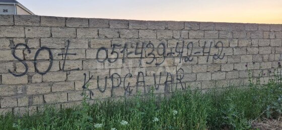Torpaq Masazır q., Bakı
