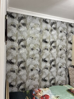 4 otaqlı Həyət evi/Bağ evi, Masazır q., Bakı