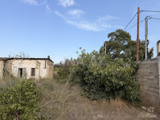 Torpaq Qala q., Bakı