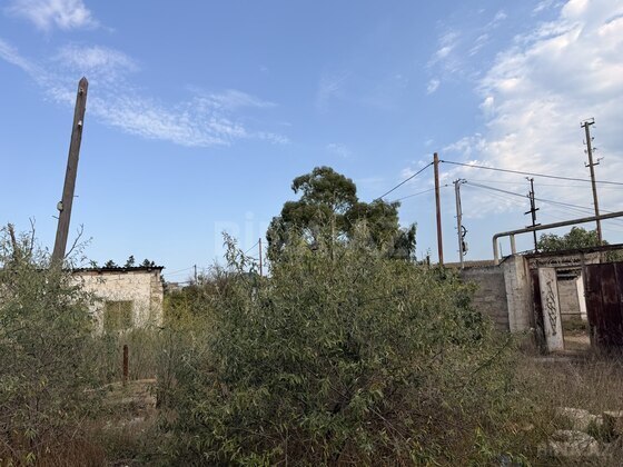 Torpaq Qala q., Bakı