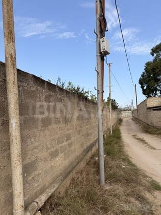 Torpaq Qala q., Bakı
