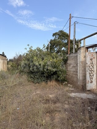 Torpaq Qala q., Bakı