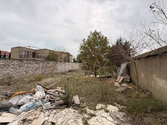 Torpaq Şağan q., Bakı