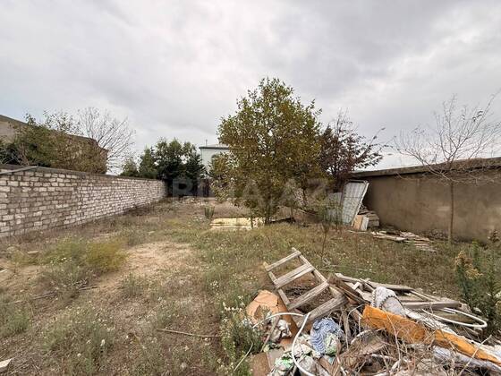 Torpaq Şağan q., Bakı