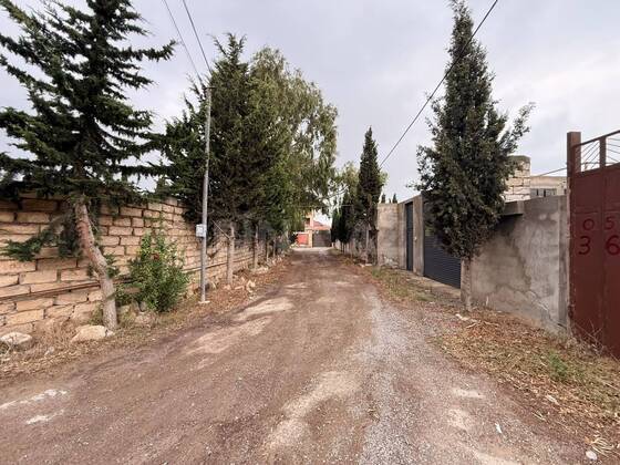 Torpaq Şağan q., Bakı