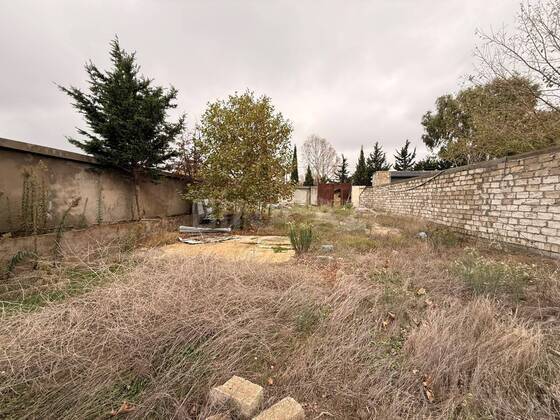 Torpaq Şağan q., Bakı