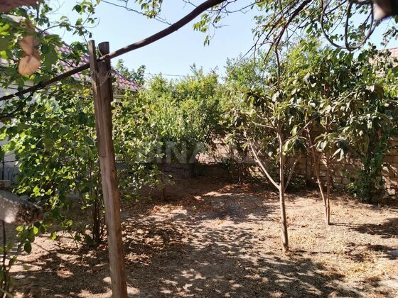Torpaq Ramana q., Bakı