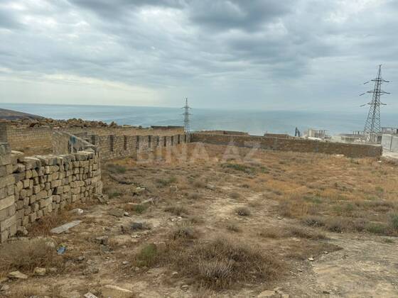 Torpaq Badamdar q., Bakı