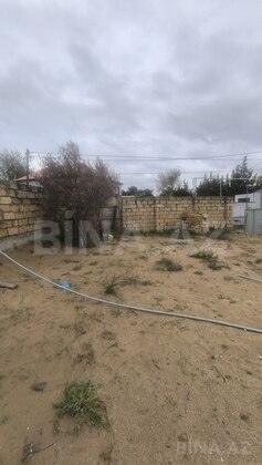 Torpaq Novxanı q., Bakı