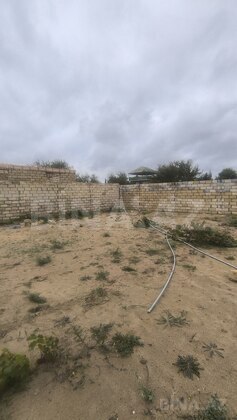 Torpaq Novxanı q., Bakı
