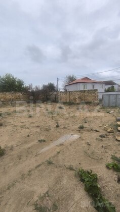 Torpaq Novxanı q., Bakı
