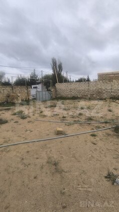 Torpaq Novxanı q., Bakı