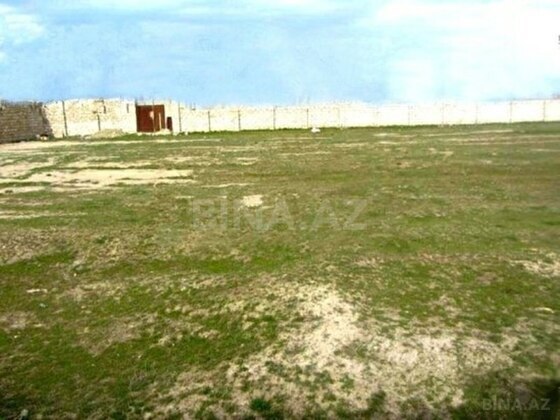 Torpaq Masazır q., Bakı