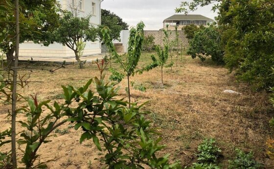 6 otaqlı Həyət evi/Bağ evi, Mərdəkan q., Bakı