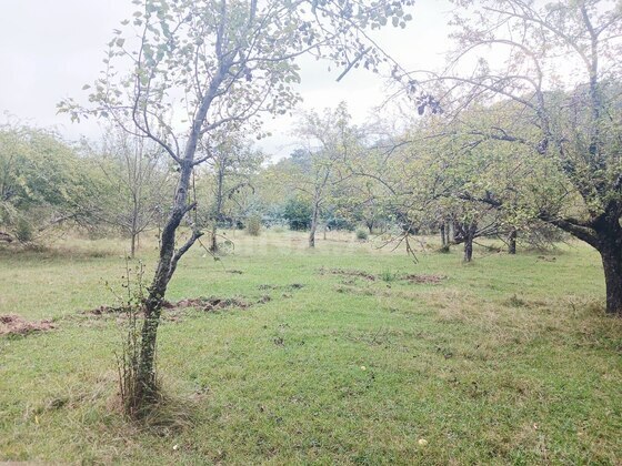 Torpaq Qəbələ