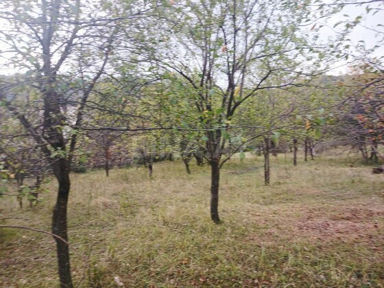 Torpaq Qəbələ