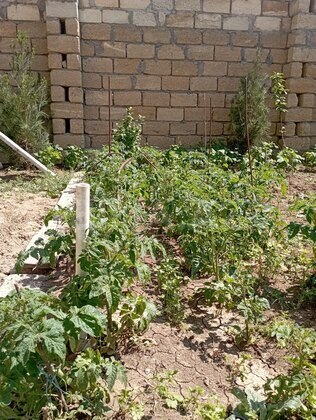 5 otaqlı Həyət evi/Bağ evi, Qobu q., Bakı