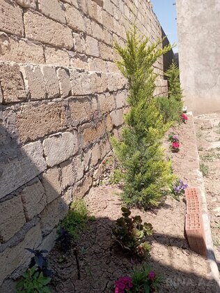 5 otaqlı Həyət evi/Bağ evi, Qobu q., Bakı