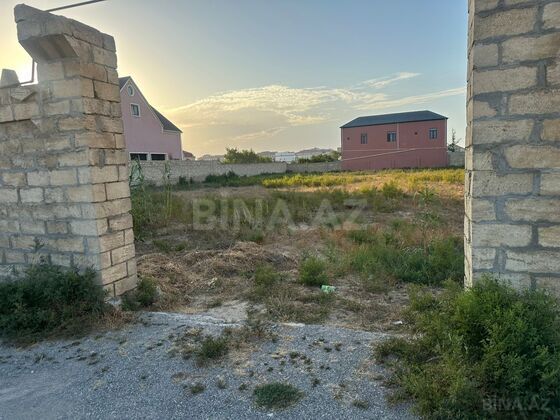 Torpaq Nardaran q., Bakı