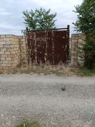 Torpaq Pirşağı q., Bakı