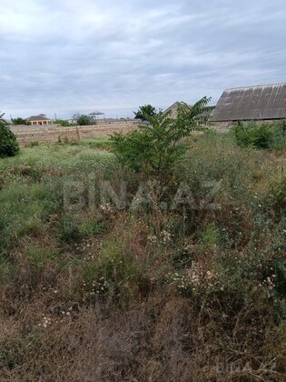 Torpaq Pirşağı q., Bakı