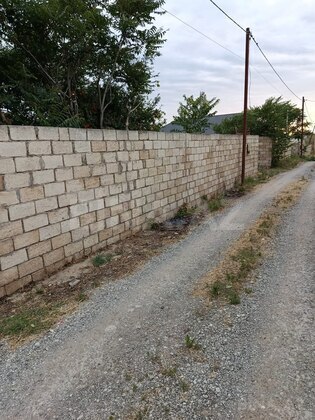 Torpaq Pirşağı q., Bakı