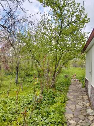 4 otaqlı Həyət evi/Bağ evi, Şamaxı