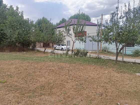 Torpaq Şamaxı