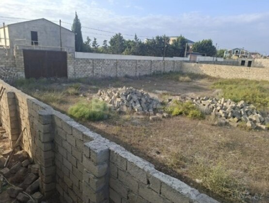 Torpaq Türkan q., Bakı