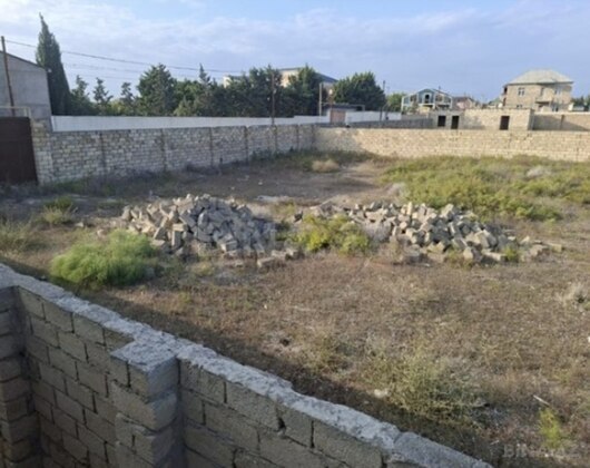 Torpaq Türkan q., Bakı