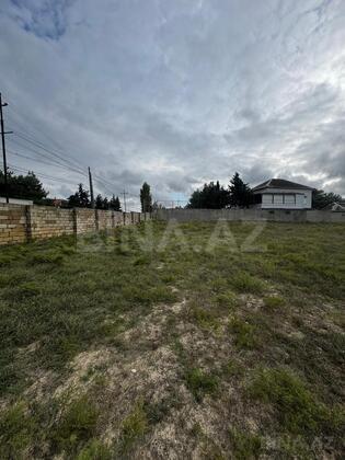 Torpaq Pirşağı q., Bakı