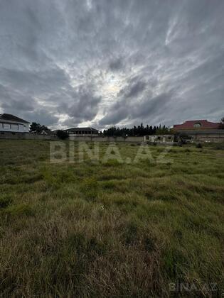 Torpaq Pirşağı q., Bakı