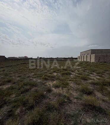 Torpaq Şüvəlan q., Bakı