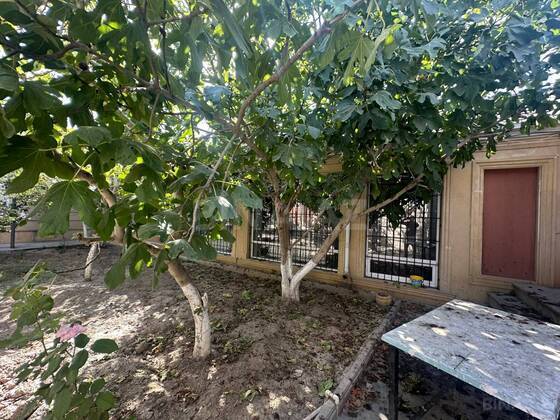 7 otaqlı Həyət evi/Bağ evi, Maştağa q., Bakı