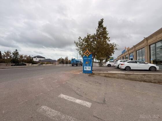 Torpaq Buzovna q., Bakı