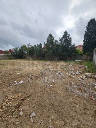 Torpaq Şüvəlan q., Bakı