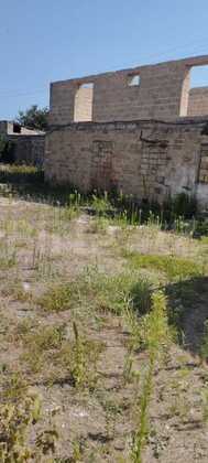Torpaq Nardaran q., Bakı